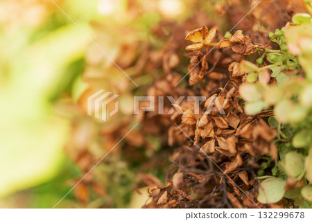 懷舊風景 圖片 132299678