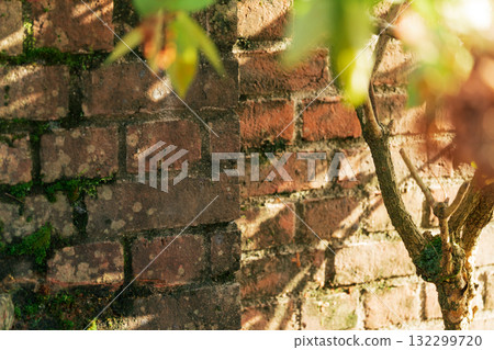 懷舊風景 圖片 132299720