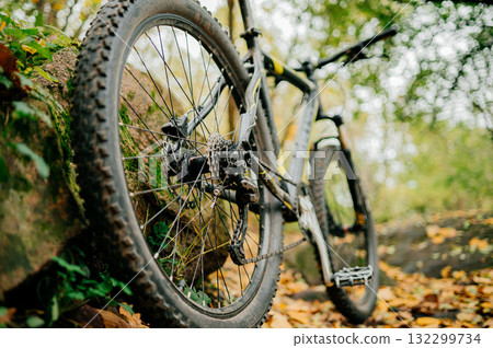 Autumn cycling mountain bike wheel on fallen leaves Autumn cycling mountain bike wheel on fallen leaves 132299734