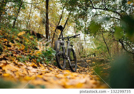 Autumn cycling mountain bike wheel on fallen leaves Autumn cycling mountain bike wheel on fallen leaves 132299735