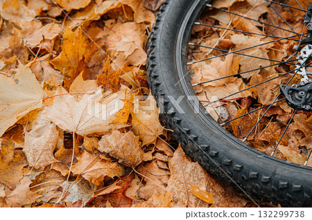 Bicycle tire on autumn leaves checking tire condition before fall rides Bicycle tire on autumn leaves checking tire condition before fall rides 132299738