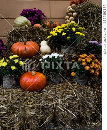 pumpkins and flowers on a street pumpkins and flowers on a street 132300585