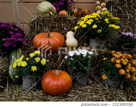 umpkins and flowers on a street 132300586