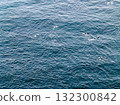 Aerial view of common dolphins feeding above huge dragnet in Donegal Bay, Ireland 132300842