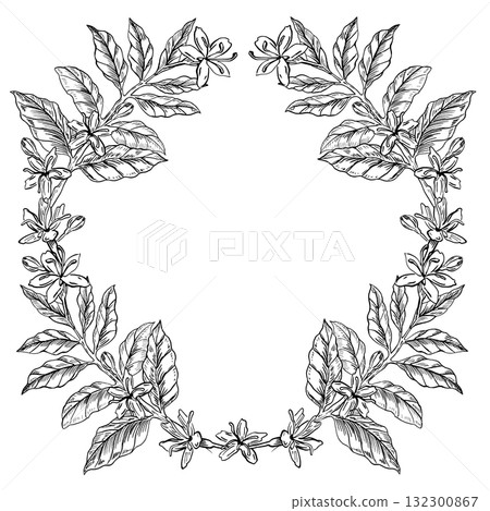 A wreath of coffee tree branches and flowers. Vector illustration for coffee shop interiors, product packaging, postcards, coffee cup bonfires, and menu design. 132300867