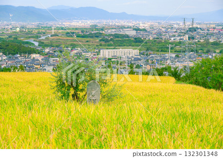 Forty-eight rice fields, Tagoto Kannon Temple, and Zenkoji Plain [Obasute Rice Terraces] 132301348