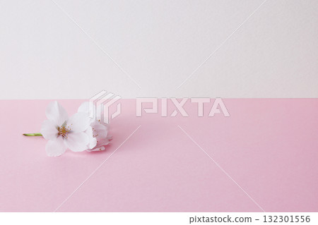 櫻花與太空 櫻花與太空 132301556