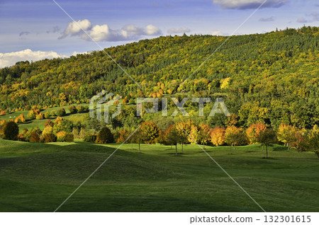Beautiful autumn background. Colorful leaves on trees in fall time. Concept for nature and landscape. Beautiful autumn background. Colorful leaves on trees in fall time. Concept for nature and landscape. 132301615