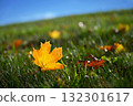 Beautiful autumn background. Colorful leaves on trees in fall time. Concept for nature and landscape. 132301617