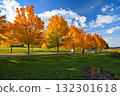 Beautiful autumn background. Colorful leaves on trees in fall time. Concept for nature and landscape. 132301618