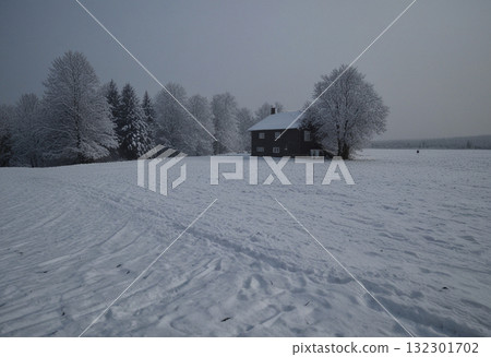 大地被雪覆蓋 大地被雪覆蓋 132301702