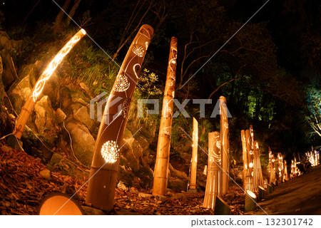Illumination of Akame 48 Waterfalls in Nabari City, Mie Prefecture 132301742