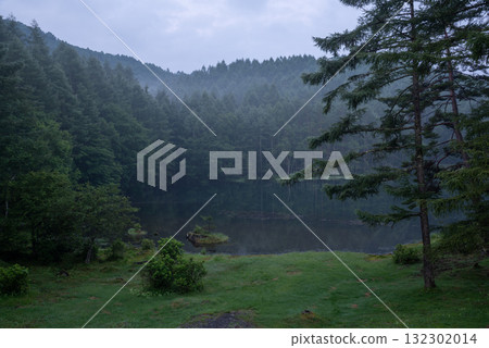 Nagano prefecture shark pond 132302014