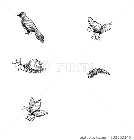 A set of insects and birds. Vector illustration in a realistic tropical style for interior design, printing on fabric, wallpaper, and textiles. A set of insects and birds. Vector illustration in a realistic tropical style for interior design, printing on fabric, wallpaper, and textiles. 132302340