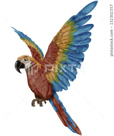 Ara / Safari Animals / Wildlife - Watercolor Digital Illustration Ara / Safari Animals / Wildlife - Watercolor Digital Illustration 132302357