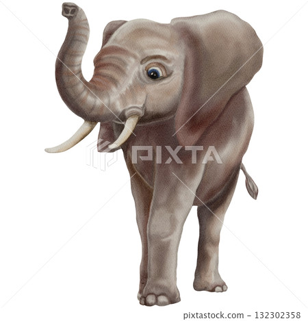 Elephant / Safari Animals / Wildlife - Watercolor Digital Illustration 132302358