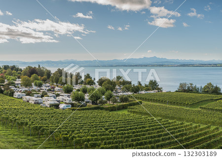 Vineyard and campsite on Lake Constance, Alpstein range in the distance, Germany 132303189