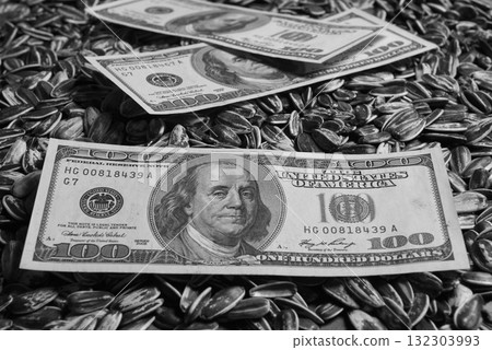 Dollars banknotes and sunflower seeds, oleaginous Commodity value concept. 132303993