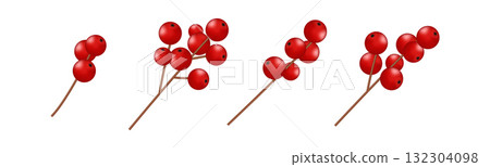 Set of realistic red holly berries on brown branches isolated on white background. Traditional festive botanical elements for Christmas and New Year design. Vector illustration. Set of realistic red holly berries on brown branches isolated on white background. Traditional festive botanical elements for Christmas and New Year design. Vector illustration. 132304098