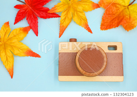 Autumn outings: photos and autumn leaves Autumn outings: photos and autumn leaves 132304123