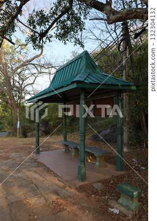 錫吉里耶岩周圍的風景[斯里蘭卡] 132304132