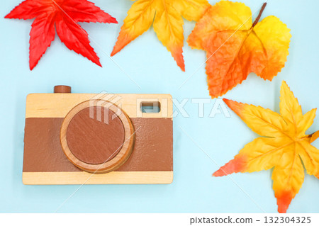 秋季郊遊：照片和秋葉 132304325