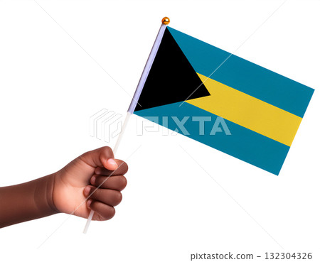 一個孩子的手拿著一面小巴哈馬國旗。 132304326