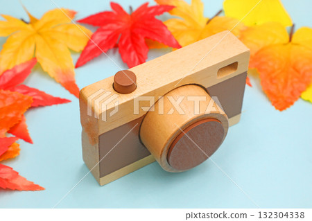 Autumn outings: photos and autumn leaves Autumn outings: photos and autumn leaves 132304338