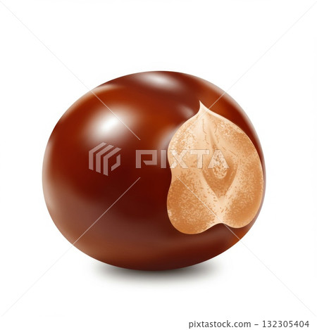 Single Hazelnut with Cracked Shell on White Background Single Hazelnut with Cracked Shell on White Background 132305404