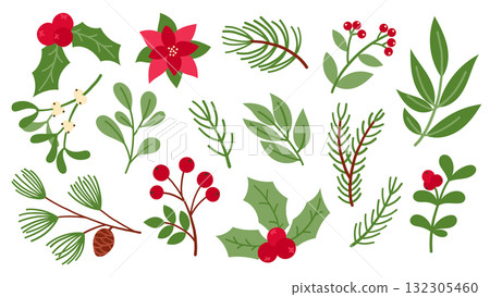 Set of Christmas plant illustrations. Winter botanical holly, poinsettia, mistletoe, berries, and evergreen sprigs. Xmas and New Year decor elements Set of Christmas plant illustrations. Winter botanical holly, poinsettia, mistletoe, berries, and evergreen sprigs. Xmas and New Year decor elements 132305460