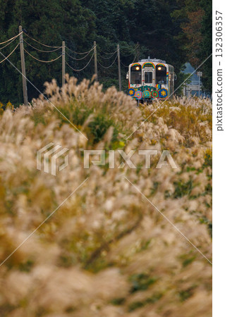 Heisei Chikuho Railway 400 Series "Super Happy" train traveling through autumn scenery Heisei Chikuho Railway 400 Series "Super Happy" train traveling through autumn scenery 132306357