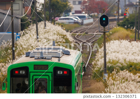 火車穿過鐵軌旁的紫芒田 火車穿過鐵軌旁的紫芒田 132306371