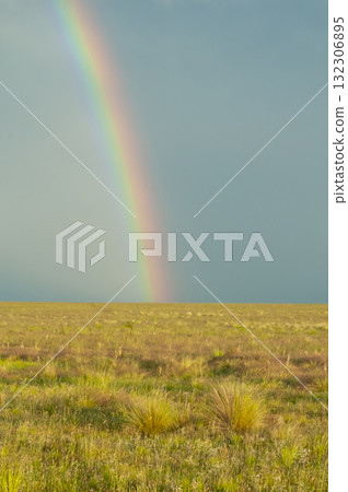 Rural landscape and rainbow,Buenos Aires province , Argentina Rural landscape and rainbow,Buenos Aires province , Argentina 132306895