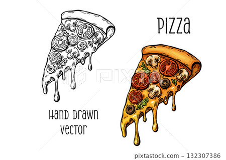 Pizza slice in color and black line art hand drawn vector 132307386