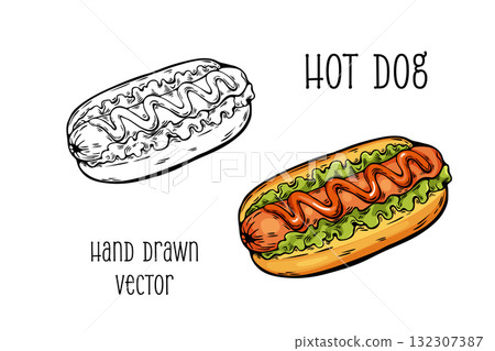 Hot dog in hand drawn vector style with color and outline 132307387
