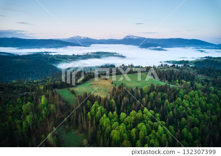 Breathtaking view of lush green fields and dense forests under pastel sky at dawn. Misty clouds blanket valleys, with snow-capped mountains in background adding majestic touch to this tranquil scene. 132307399