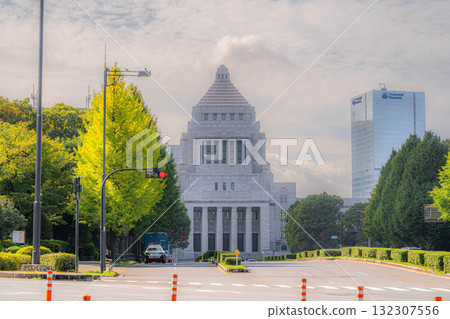 國會議事堂(東京都千代田區永田町) 國會議事堂(東京都千代田區永田町) 132307556