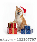 柴犬戴著聖誕帽，拿著聖誕禮物（白色背景） 132307797