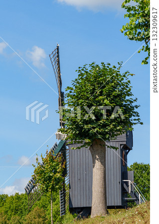 the old village of Bourtange 132309617