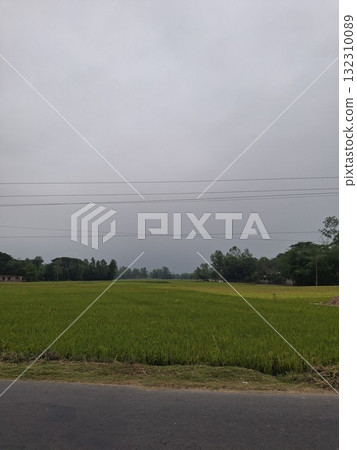A flock of birds flies in formation across a cloudy sky over a lush green field and distant trees A flock of birds flies in formation across a cloudy sky over a lush green field and distant trees 132310089