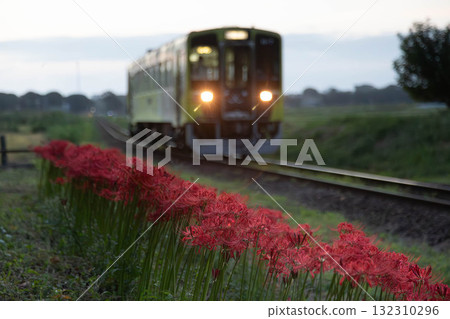 Hitachinaka Seaside Railway Nakane Station Hitachinaka Seaside Railway Nakane Station 132310296