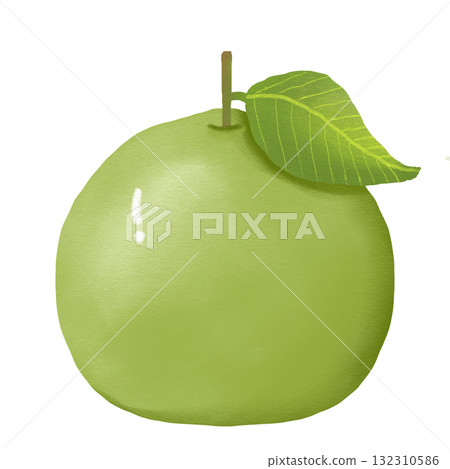 guava, fruit, vector 132310586