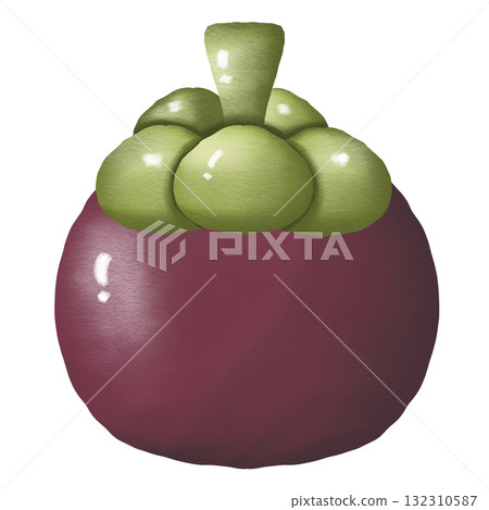 Cute Mangosteen Fruit 132310587