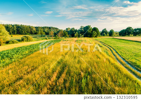 Beautiful landscape. Summer rural landscape. View of sunny fields in daylight Beautiful landscape. Summer rural landscape. View of sunny fields in daylight 132310595
