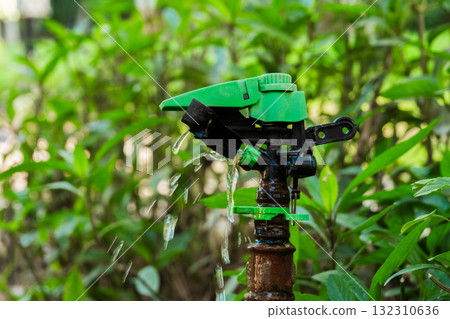 A green sprinkler head is positioned among lush green plants. Water sprays from the nozzle, demonstrating an irrigation system in action. 132310636
