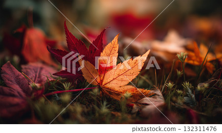 Colorful autumn leaves spreading on the ground 132311476