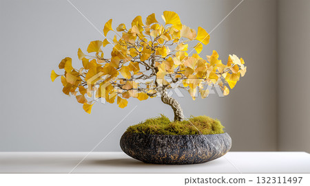Ginkgo bonsai displayed in autumn colors on a white table 132311497