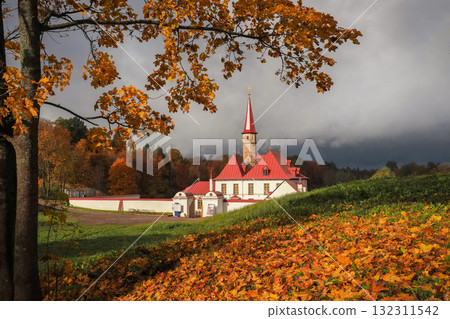 beautiful autumn park with golden birches near an ancient palace beautiful autumn park with golden birches near an ancient palace 132311542