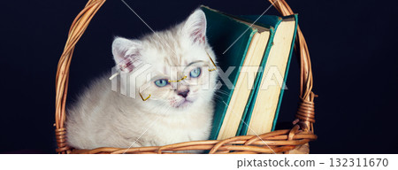 Cute white kitten wearing glasses, sitting in a basket with books. Horizontal banner 132311670