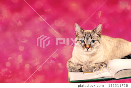 Funny business cat with book and glasses on glitter background in Viva magenta color 132311726